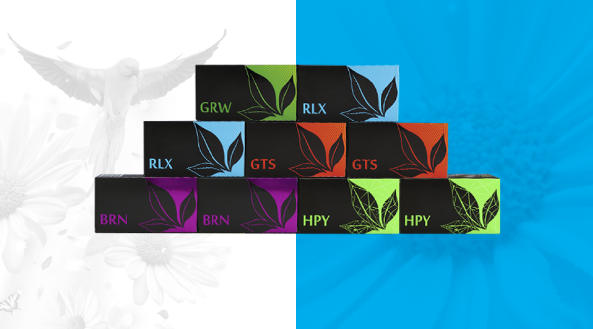 KIT "ENERGÍA NATURAL"