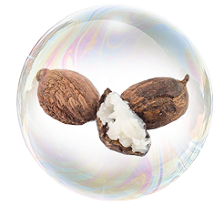 La manteca de Karité